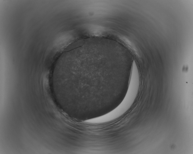 X0000094440217200711081256