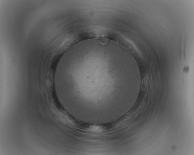 X0000094440218200711081256