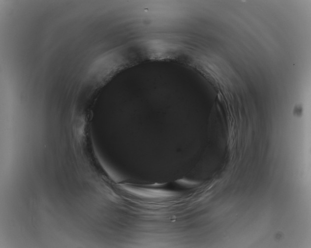 X0000094440219200711081256