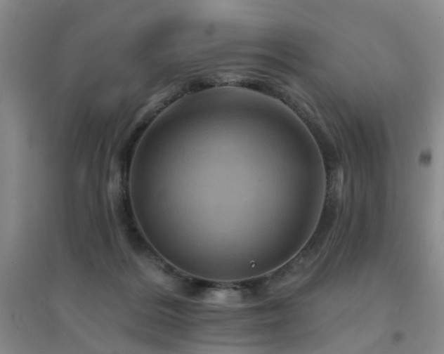 X0000094440220200711081256