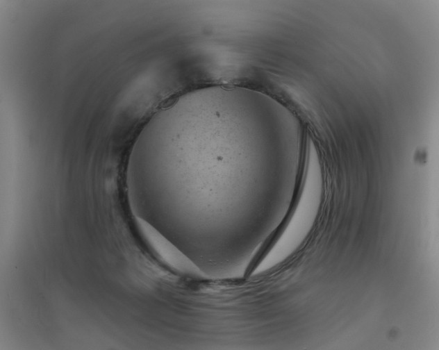 X0000094440221200711081256