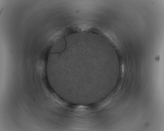 X0000094440222200711081256