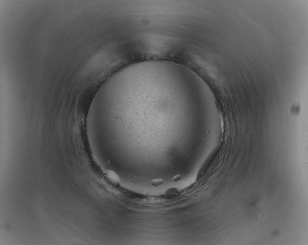 X0000094440225200711081256