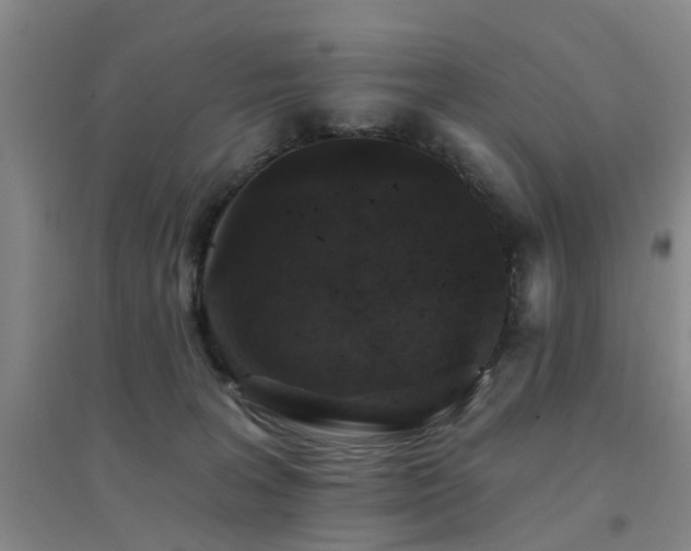 X0000094440227200711081256
