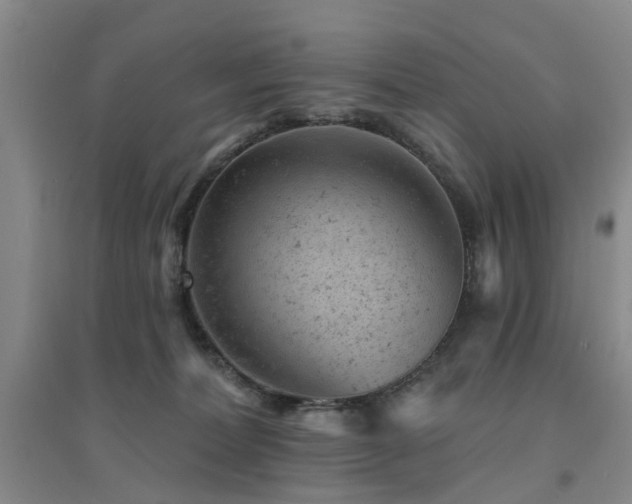 X0000094440228200711081256
