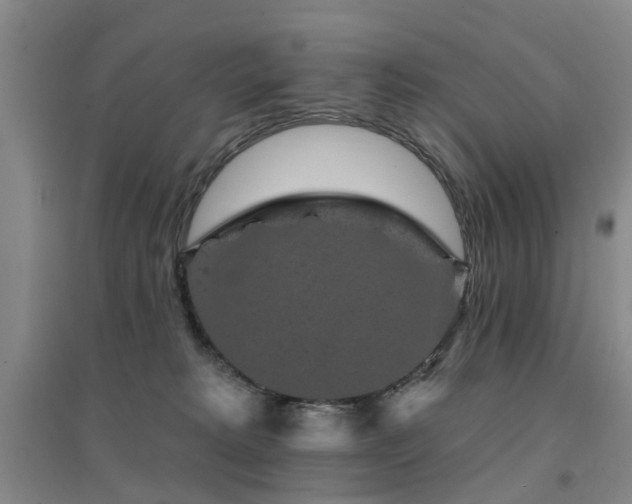 X0000094440229200711081256