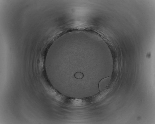 X0000094440230200711081256