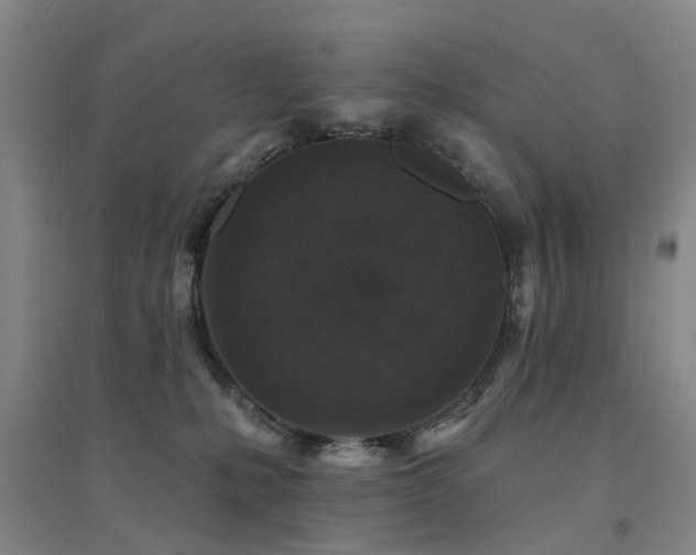X0000094440231200711081256