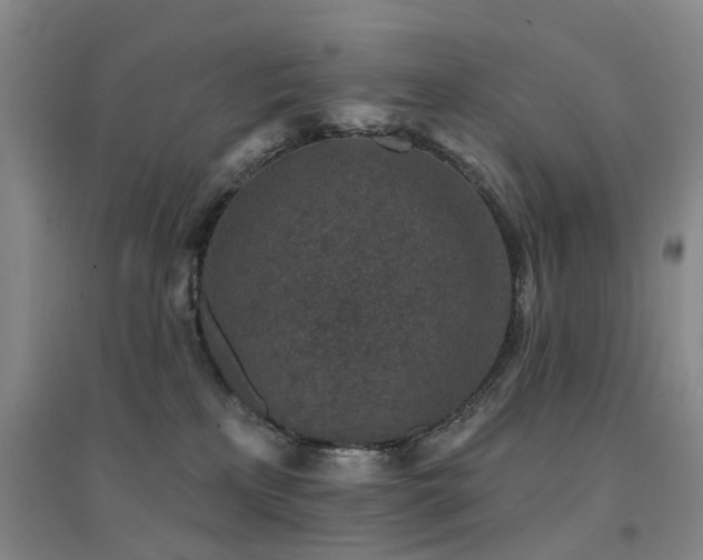 X0000094440233200711081256