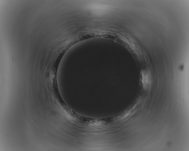 X0000094440235200711081256