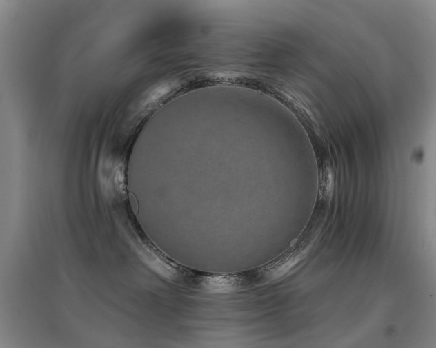 X0000094440238200711081256