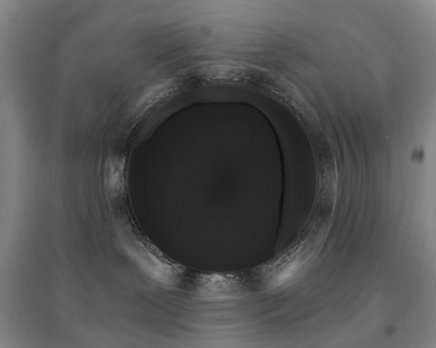 X0000094440239200711081256