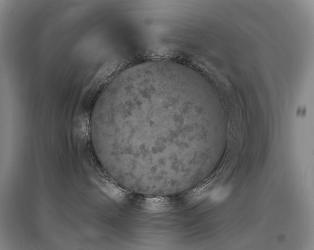 X0000094440240200711081256