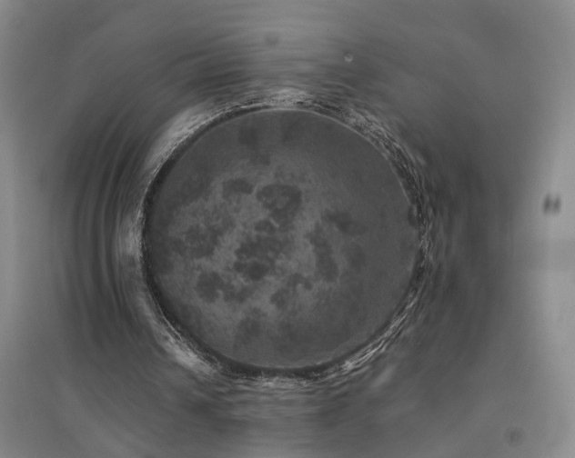 X0000094440242200711081255