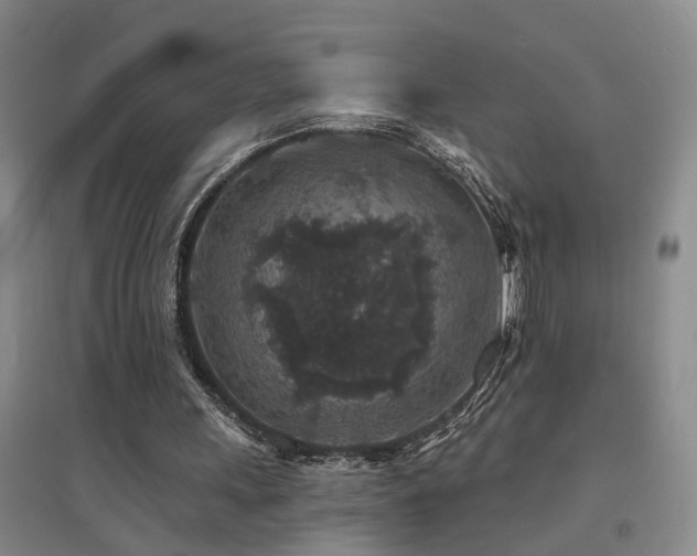 X0000094440243200711081255