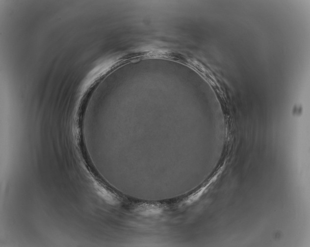 X0000094440245200711081255