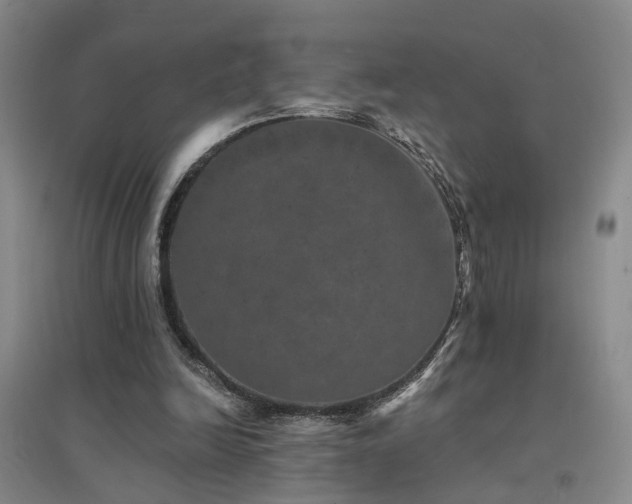 X0000094440246200711081255