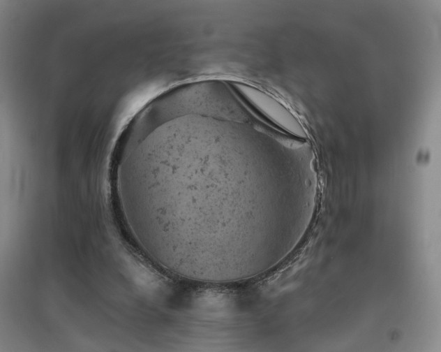 X0000094440248200711081255