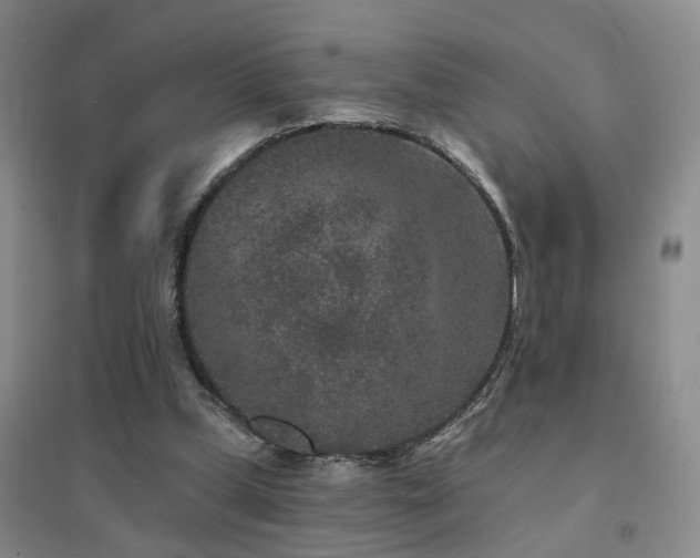 X0000094440249200711081255