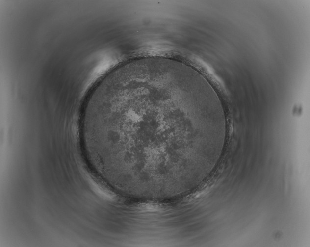X0000094440250200711081255