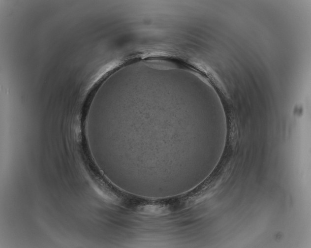 X0000094440251200711081255