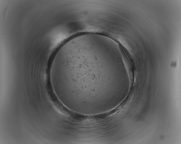 X0000094440252200711081255