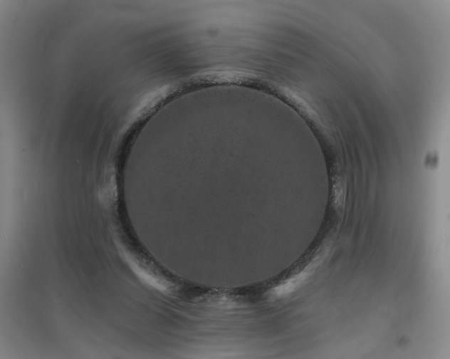 X0000094440254200711081255