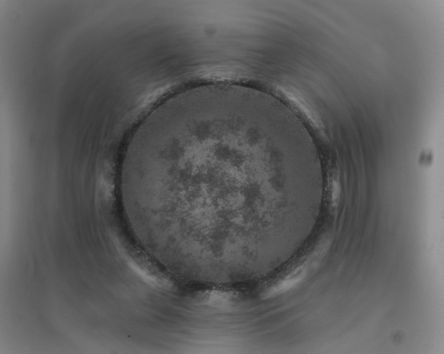 X0000094440255200711081255