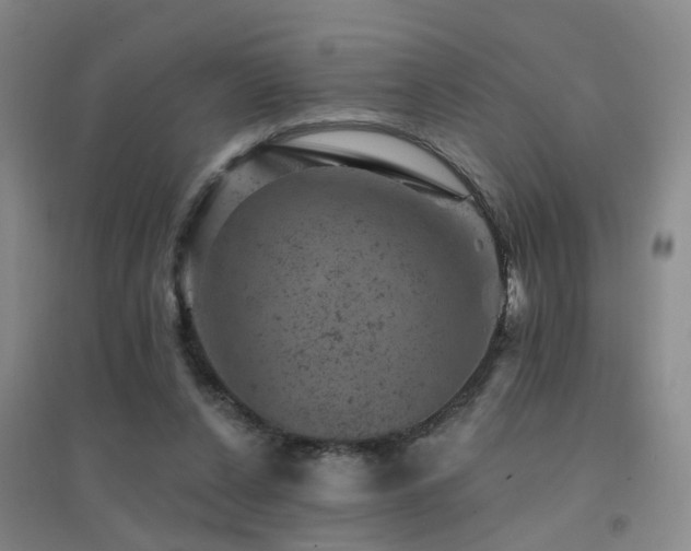 X0000094440256200711081255