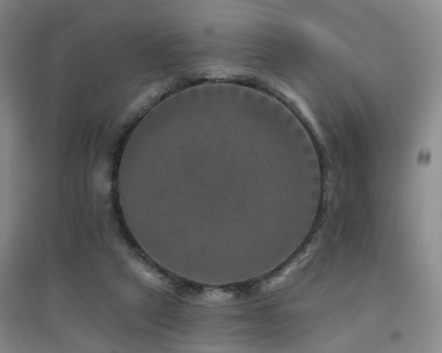 X0000094440257200711081255
