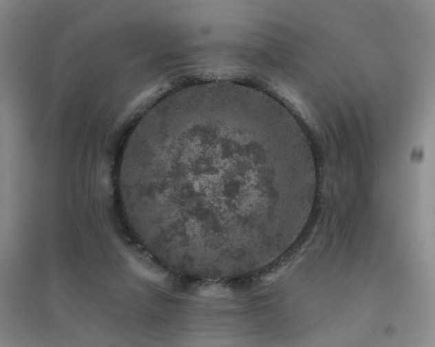X0000094440258200711081255