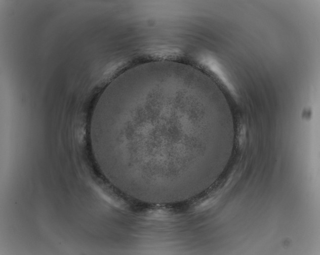 X0000094440259200711081255