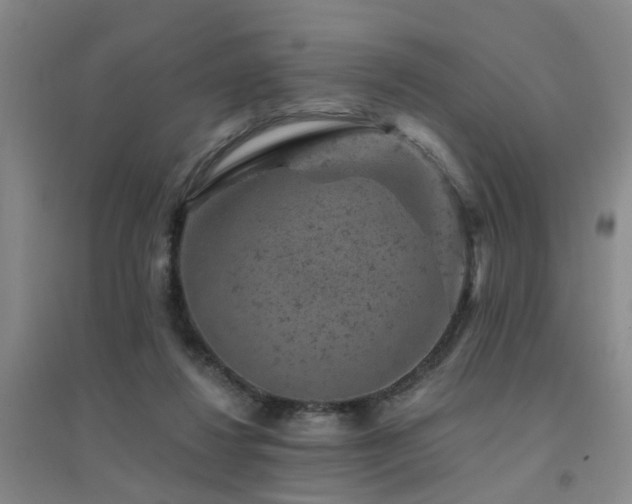 X0000094440260200711081255