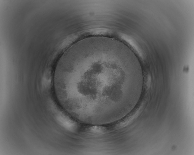 X0000094440261200711081255