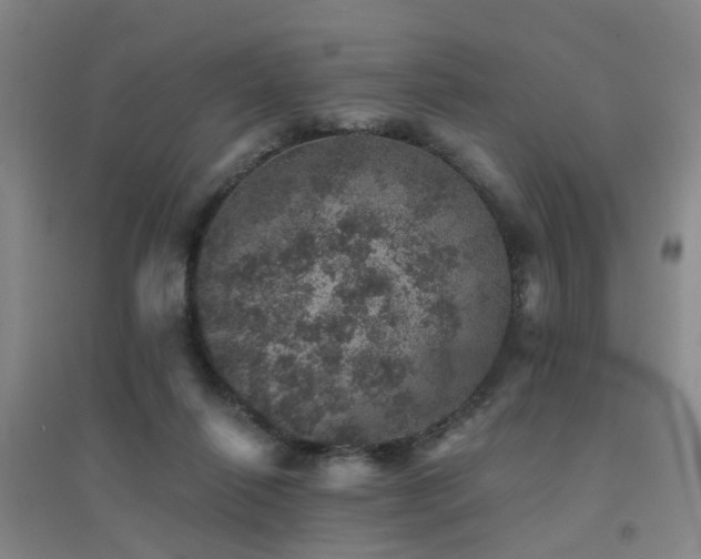 X0000094440262200711081255