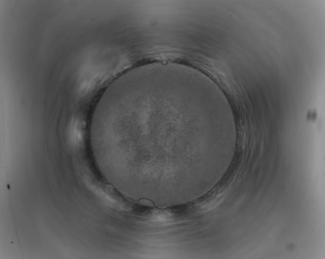 X0000094440263200711081255