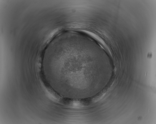 X0000094440264200711081255