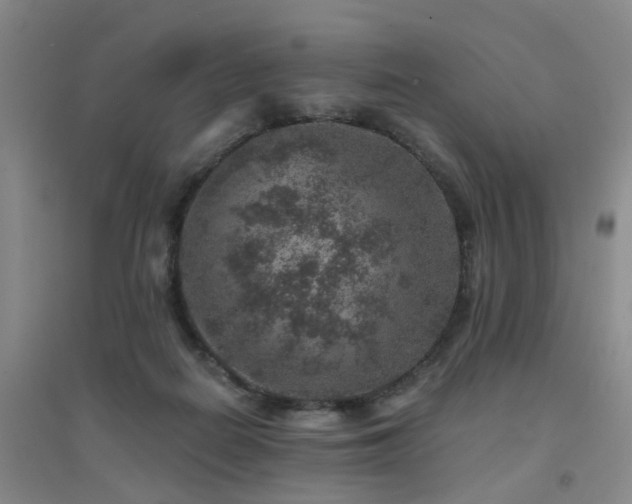 X0000094440266200711081255