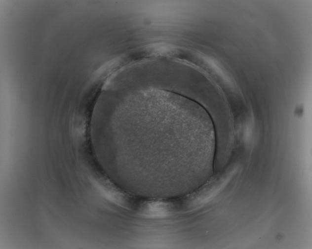 X0000094440268200711081255