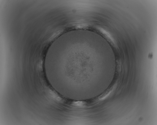 X0000094440269200711081255