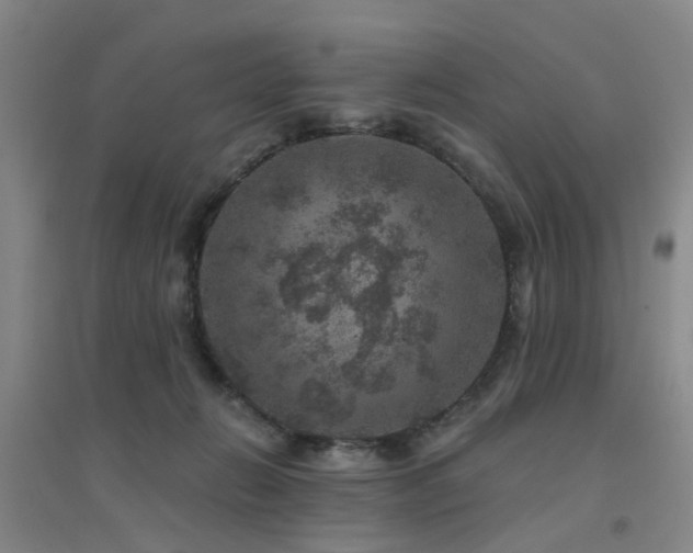 X0000094440270200711081255
