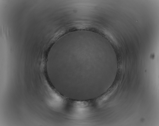 X0000094440277200711081255