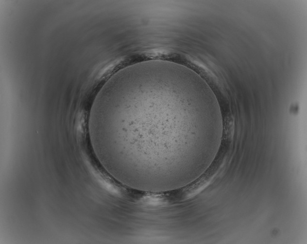X0000094440280200711081255