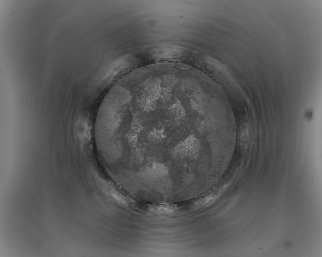 X0000094440282200711081255