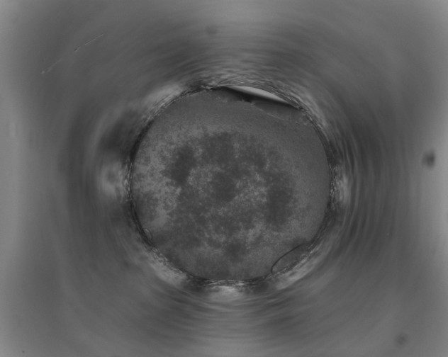 X0000094440285200711081256