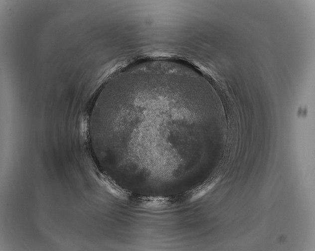 X0000094440288200711081256