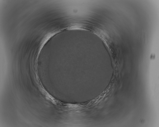 X0000094440289200711081255