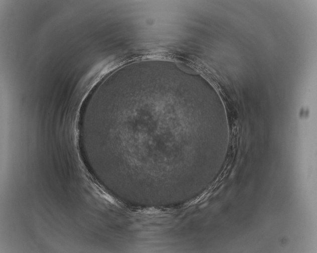 X0000094440290200711081255