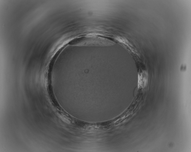 X0000094440291200711081255