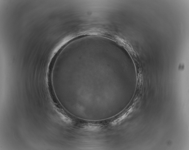 X0000094440292200711081255